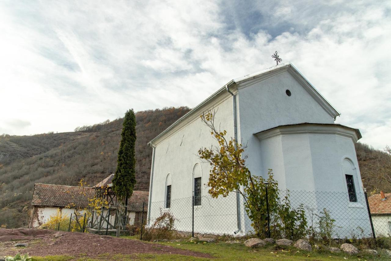 Kuca Stojanovica Topli Do Pirot Esterno foto