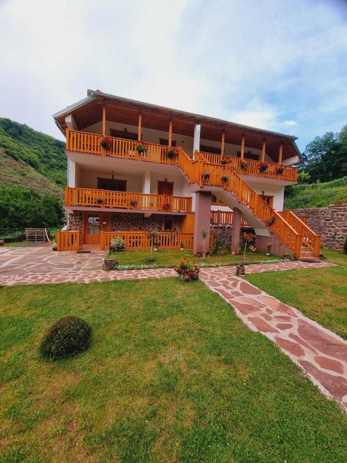 Kuca Stojanovica Topli Do Pirot Esterno foto
